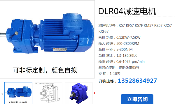 DLR04-146-YE4132S-4-E-M5-L減速電機(jī)型號